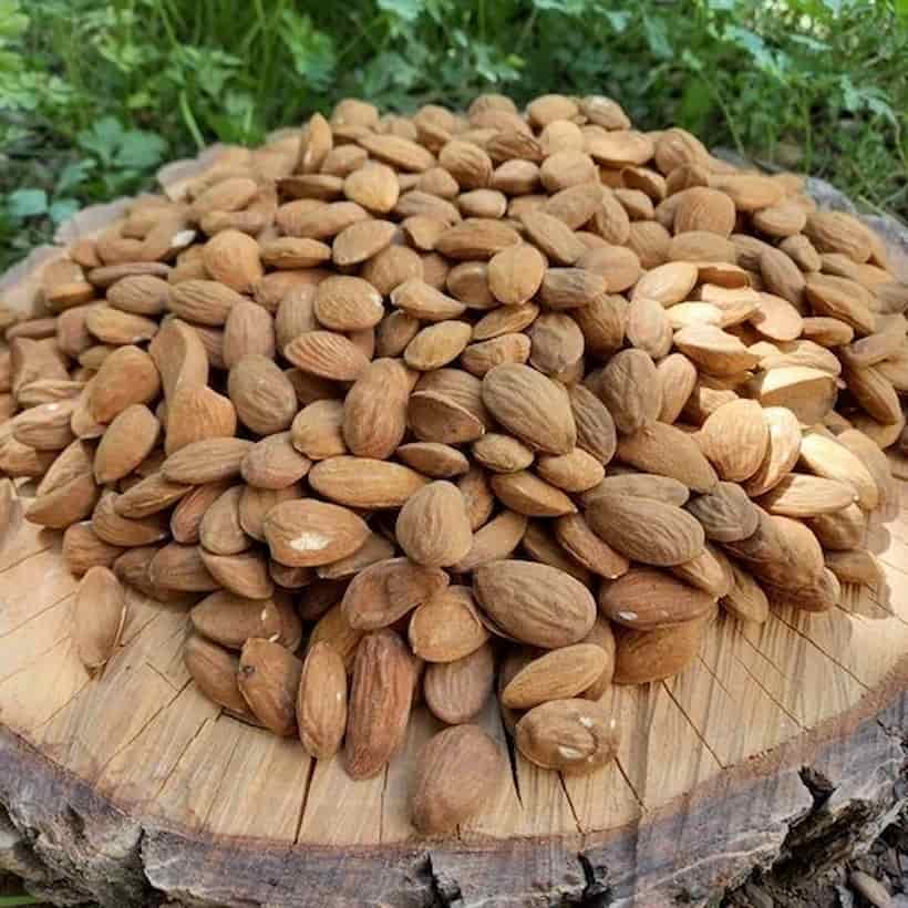 مغز بادام شیرین با کیفیت مناسب برای مصرف خانگی و فروشگاهی
